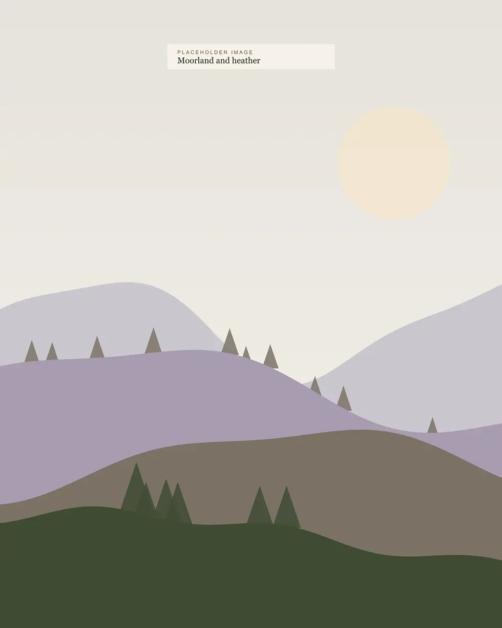 03-sporting-moorland.webp