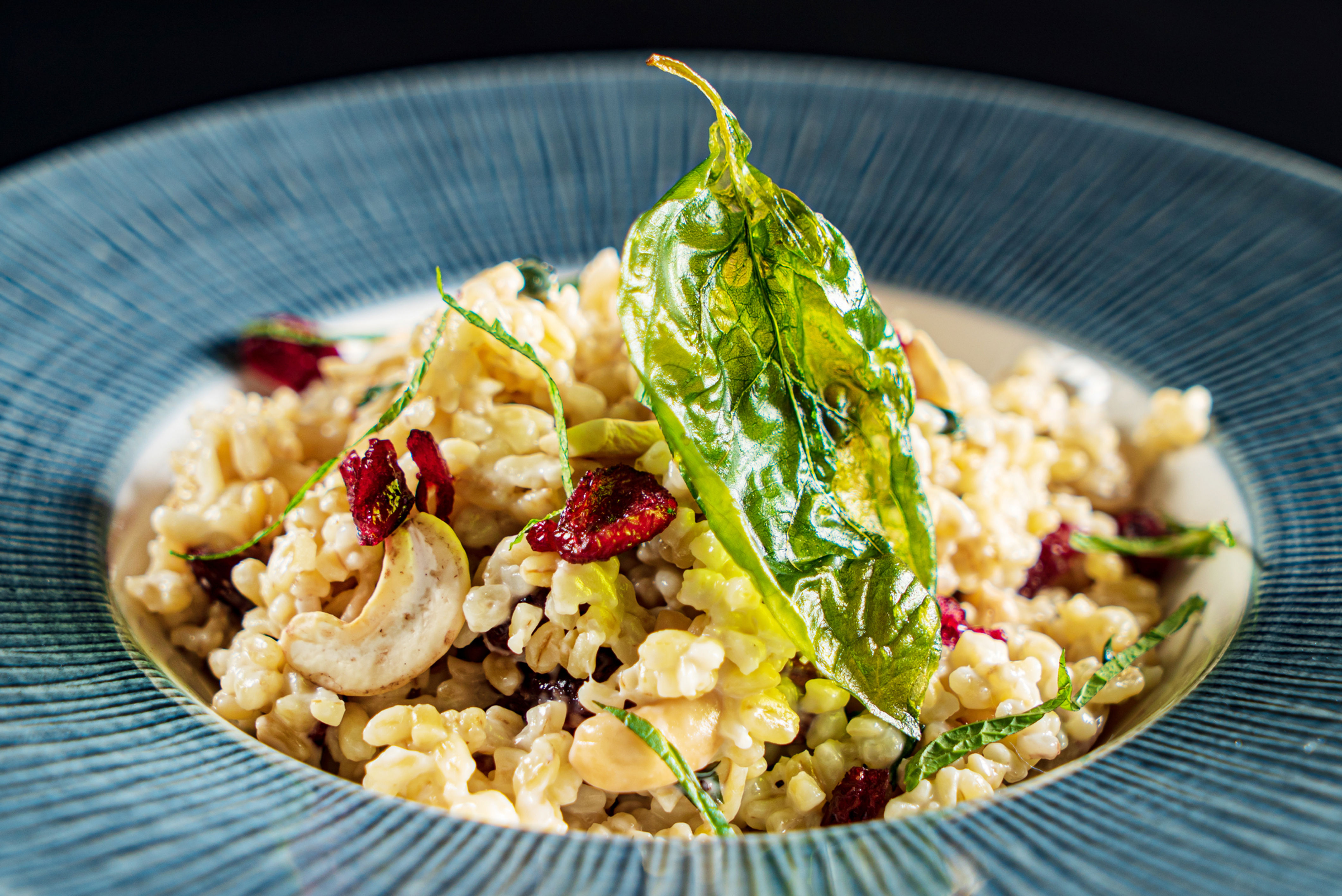 Champagne Risotto w Cranberry, Apple & Cashews