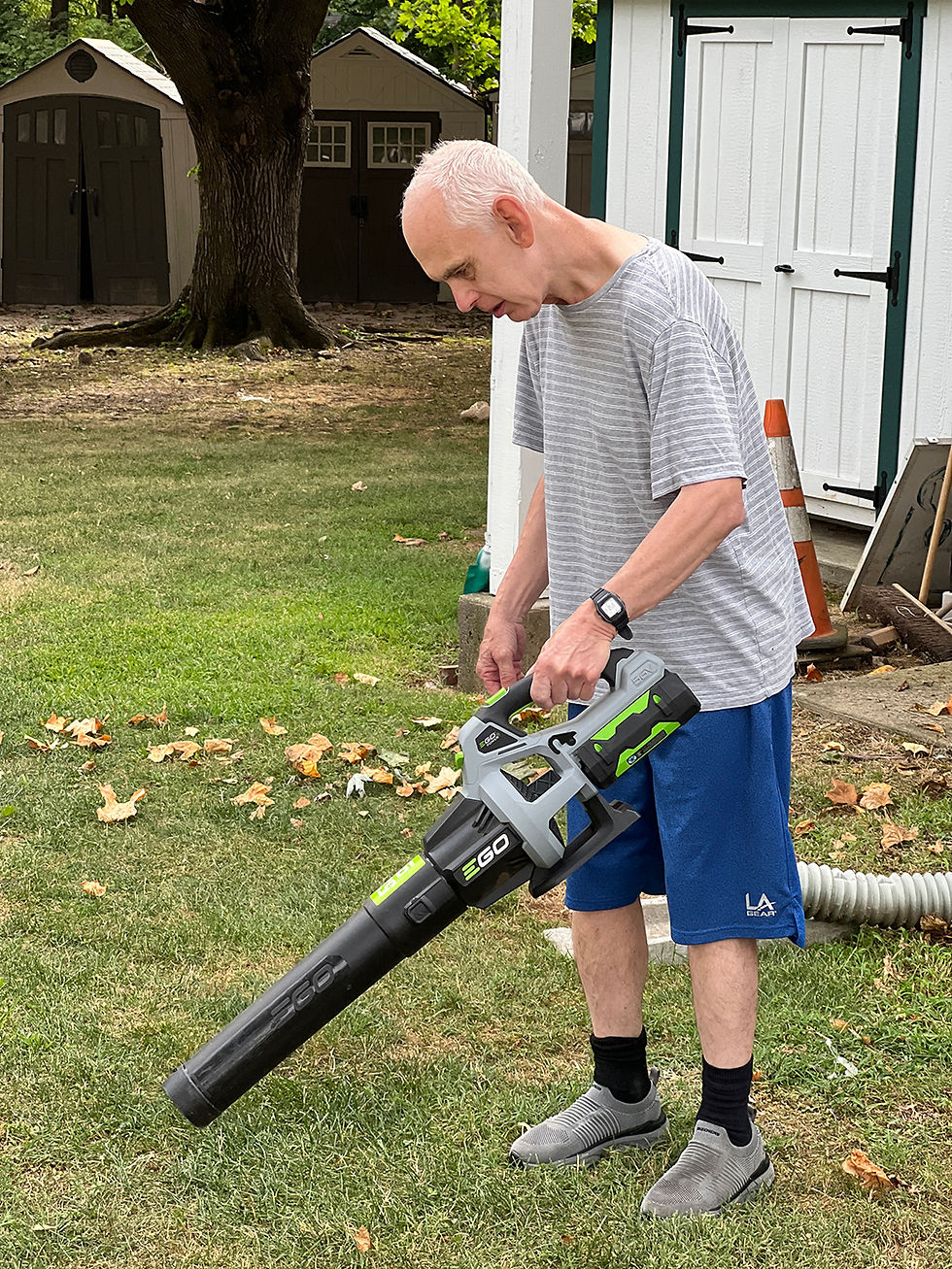 Lawn 1.jpg