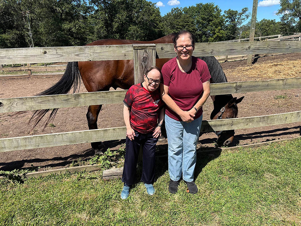 Horses copy.jpg