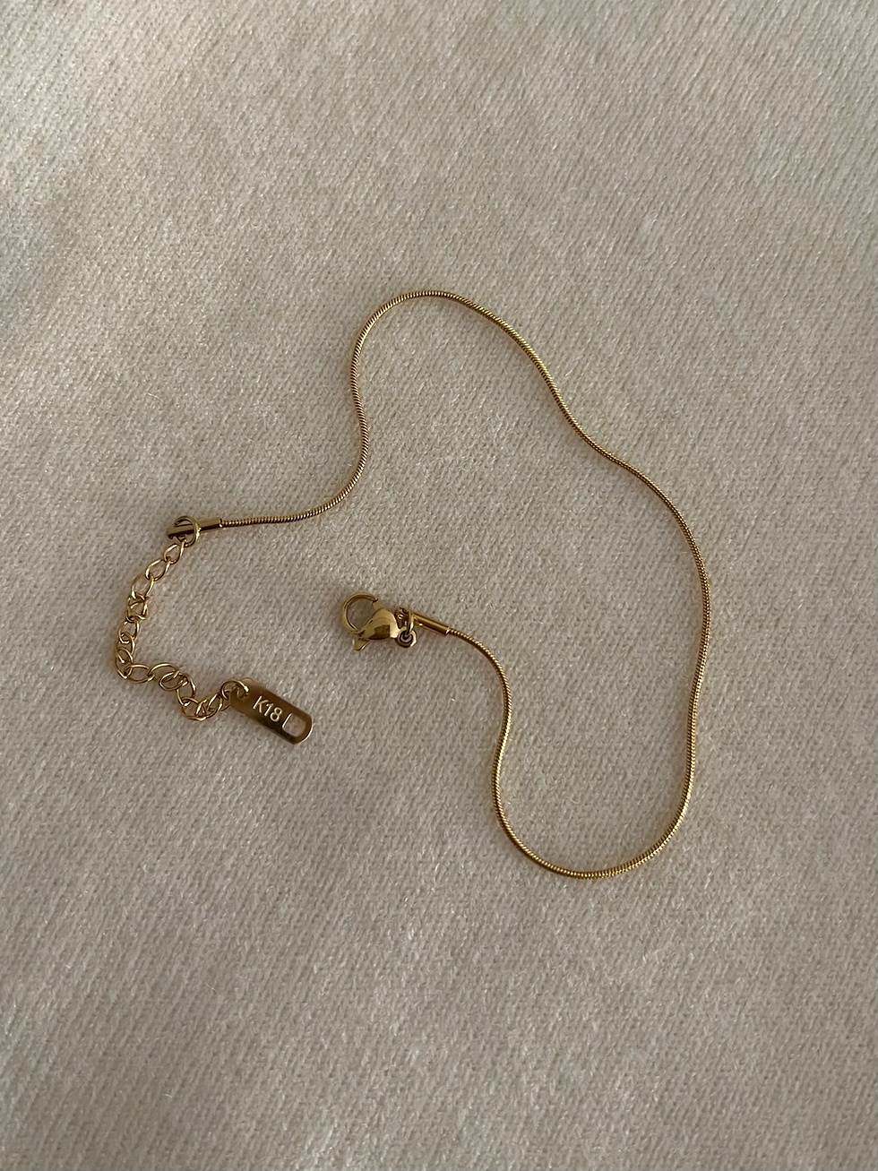 Thumbnail: Snake Chain Anklet