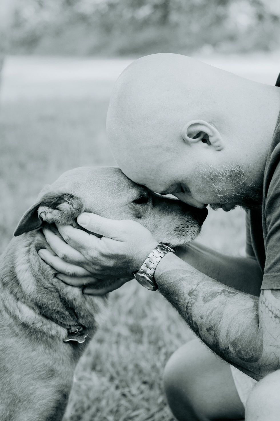 otos emocionantes de despedida de pet com tutor