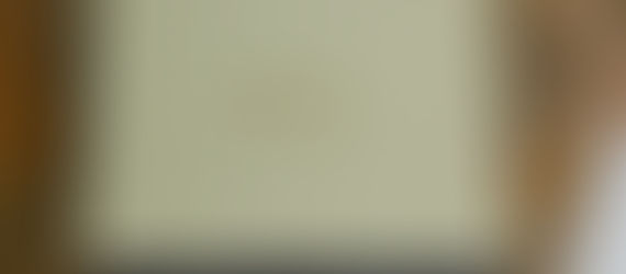 Seu pet partiu? Ideias afetivas para eternizar essa história de amor