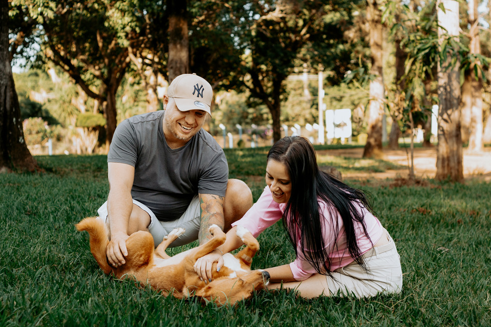 ensaio infinito pet com família e cachorro idoso ao ar livre