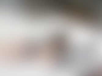 Vale a pena fazer faculdade para ser fotógrafo pet? Veja os prós e contras