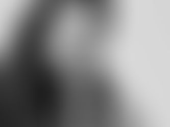 Como se posicionar como fotógrafo pet afetivo na sua cidade