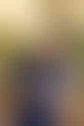 Fotografia pet profissional em Indaiatuba para famílias com cães