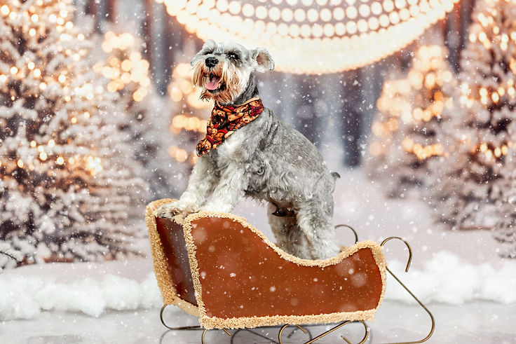 Enzo, Roger e Big_Natal_internet-4.jpg