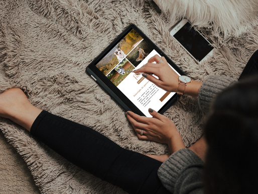 gestão para fotógrafos pet