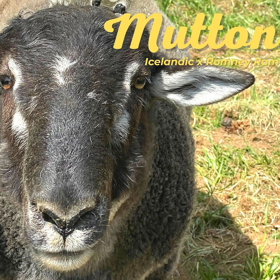 Thumbnail: Mutton