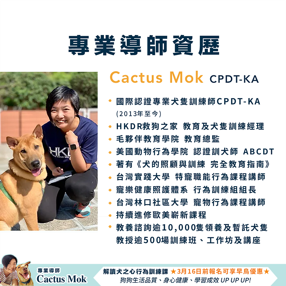 縮圖：解讀犬之心行為訓練課