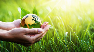 10 Tipps: So schützt du die Bäume und deine Umwelt