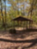 Picnic Area