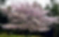 49165535_102061127546724_2078902159973285888_n.jpg