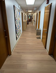 HALLWAY WITH LVP (3).jpg