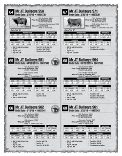 2020 Sletten Angus Catalog-22