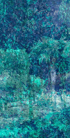 Marlene-Luce-Whirlwind-Palm-Trees.jpeg