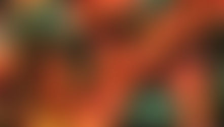 【ビーバー隊】ホクホクハロウィン