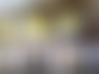 വന്യമൃഗ ശല്യം : മനുഷ്യാവകാശ സംരക്ഷണ റാലിയുമായി കോതമംഗലം രൂപത