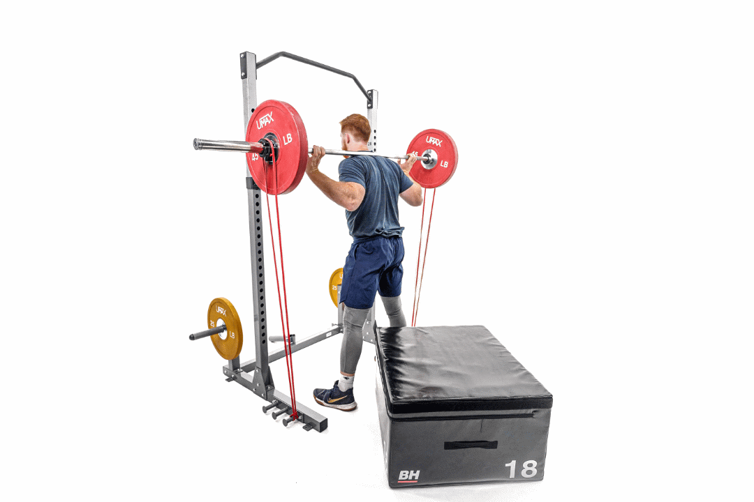 band pallof press - 4lpmsb.gif