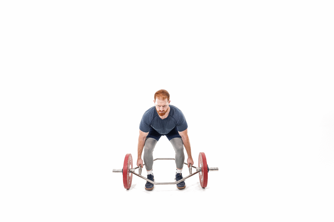 4lpmla.gif