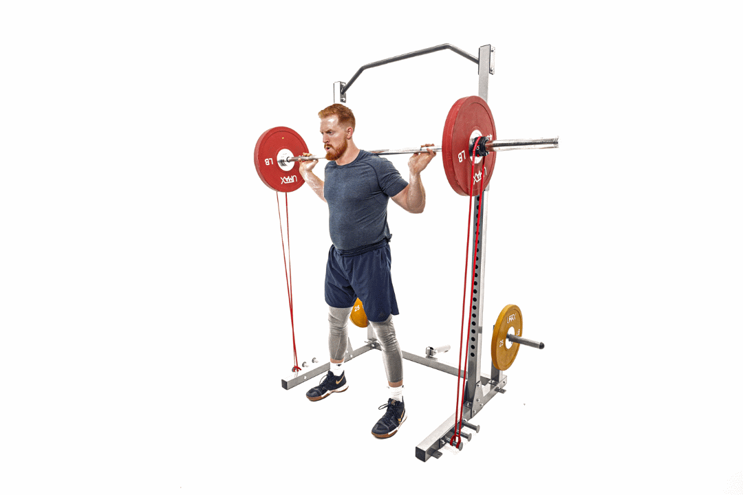 band pallof press - 4lpmsb.gif