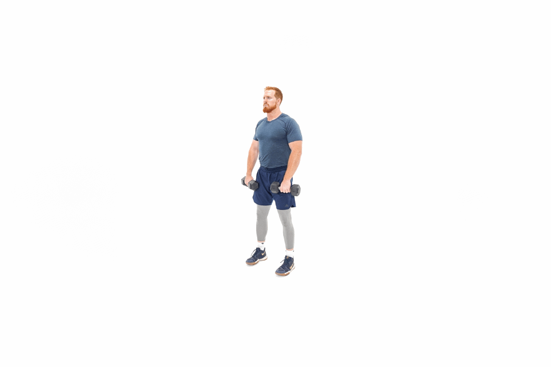 band pallof press - 4lpmsb.gif