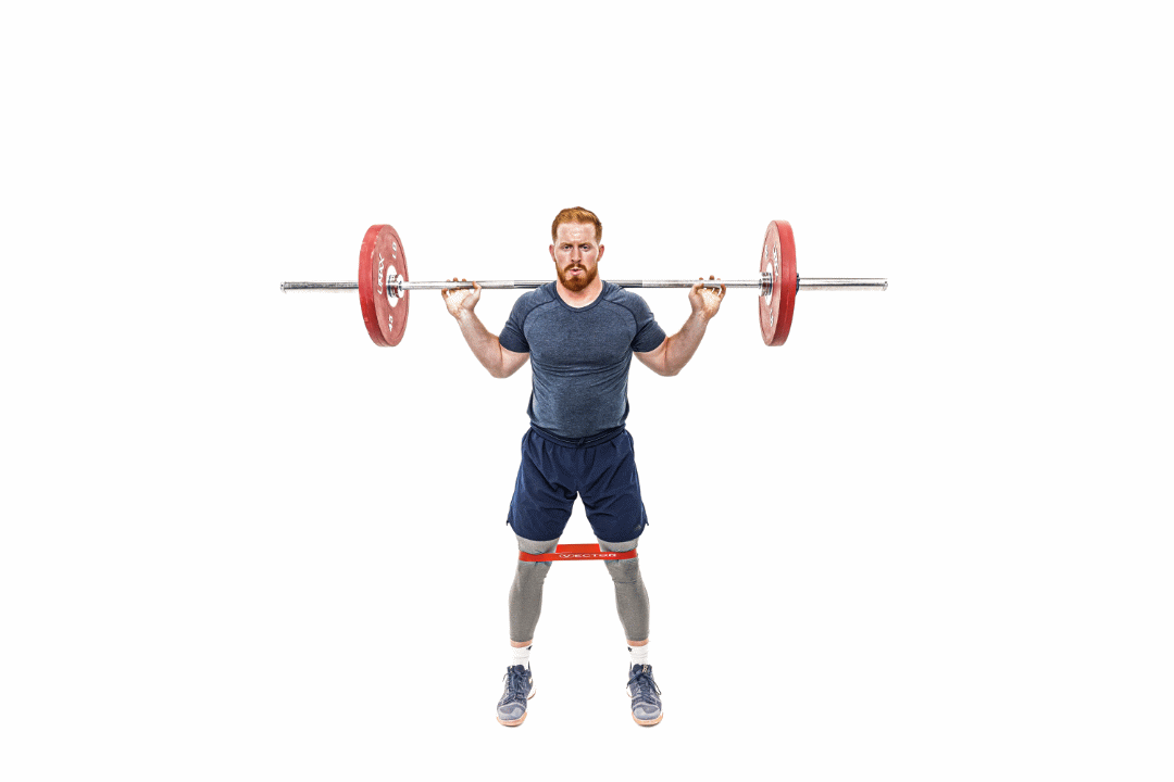 band pallof press - 4lpmsb.gif