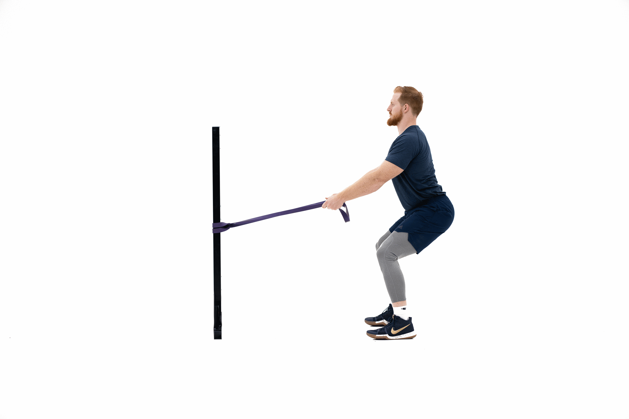 band pallof press - 4lpmsb.gif
