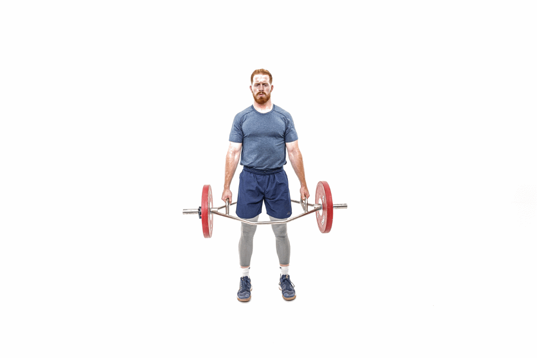4lpmla.gif