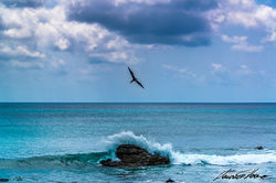 Fernando de Noronha - PE, Brasil