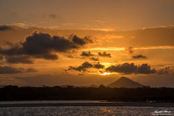Sunshine Coast - QLD, Australia
