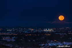 Sydney - NSW, Australia