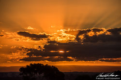 Sydney - NSW, Australia