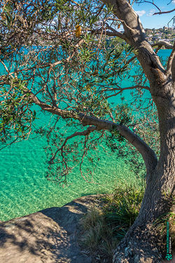 Sydney - NSW, Australia