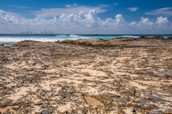 Coral Sea - QLD, Australia