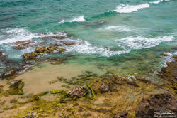Sunshine Coast - QLD, Australia