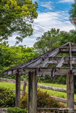 Sunshine Coast - QLD, Australia