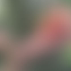 Una nonna che insegna a vivere