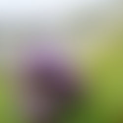 La relazionalità. Come nasce, perché è importante