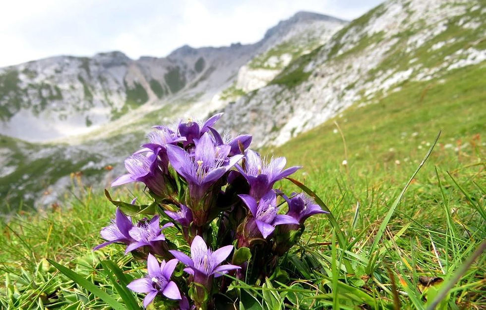 La relazionalità. Come nasce, perché è importante