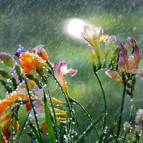 C’è pioggia e pioggia... per saper esistere