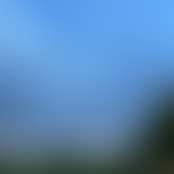 Depressione, fibromialgia, malattie autoimmuni.