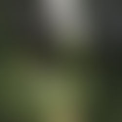 Un ascolto che aiuta a diminuire lo stress. Eccolo!