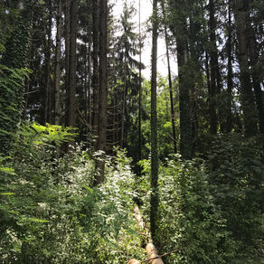 Un ascolto che aiuta a diminuire lo stress. Eccolo!