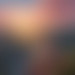 La sensazione di fallimento.