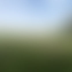 Un uomo fuori dal Sistema: lavora 2 giorni a settimana. 2a parte