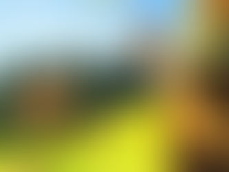 C’è sempre un motivo per sentisi felici