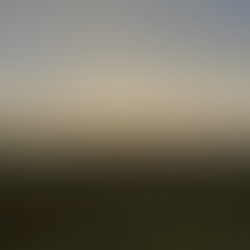 Cosa ti serve per essere felice?