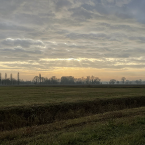 Cosa ti serve per essere felice?